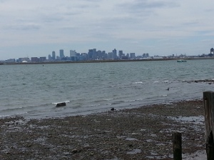 I took a break during my run to take a picture of Boston from the Winthrop shore.